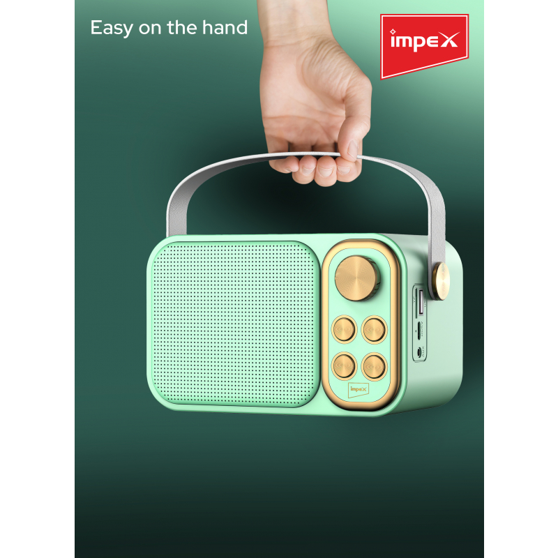 Impex Portable Bluetooth Karaoke Speaker | KM 1302