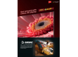 65" UHD evoQ Google TV |evoQ 65S4RLC2