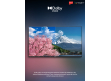 65" UHD evoQ Google TV |evoQ 65S4RLC2