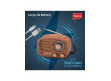 Portable Radio | Melody Pro RD 1201